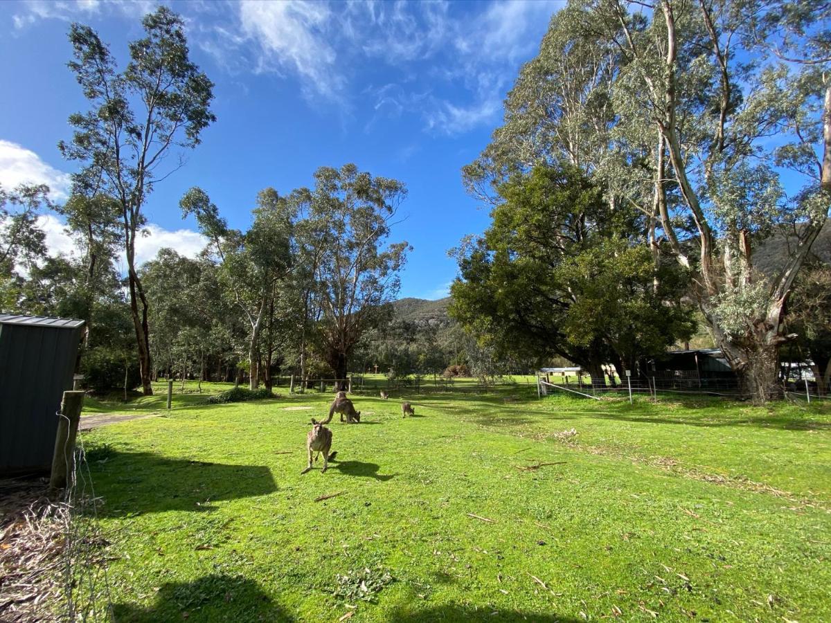 Vila Kangurra House Halls Gap Exteriér fotografie